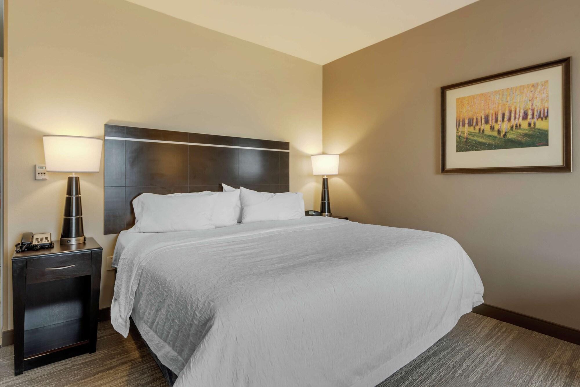 Hampton Inn אלאמוסה מראה חיצוני תמונה
